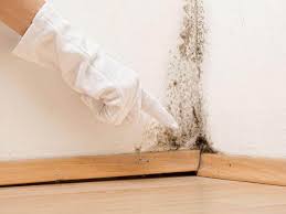 Best Mold Removal for HVAC Installations  in Aurora, IL